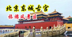 大鸡巴插得骚逼好舒服视频中国北京-东城古宫旅游风景区